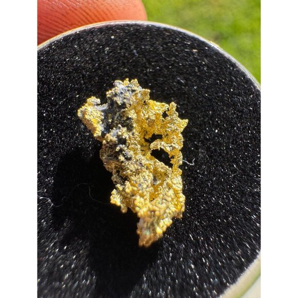 California Native Gold Crystal - 0.80 grams - Picture 6 of 6